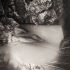 Rock pool
